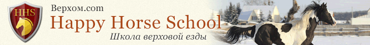 Happy Horse School