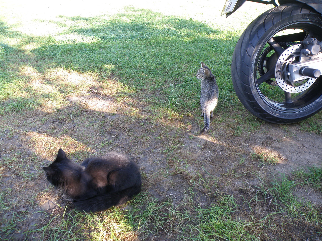 16090 км, 112 дней на мотоцикле. Киев-Спарта-Лиссабон