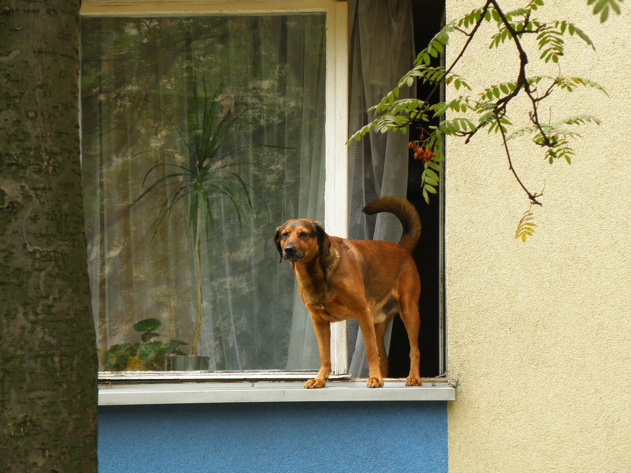 16090 км, 112 дней на мотоцикле. Киев-Спарта-Лиссабон
