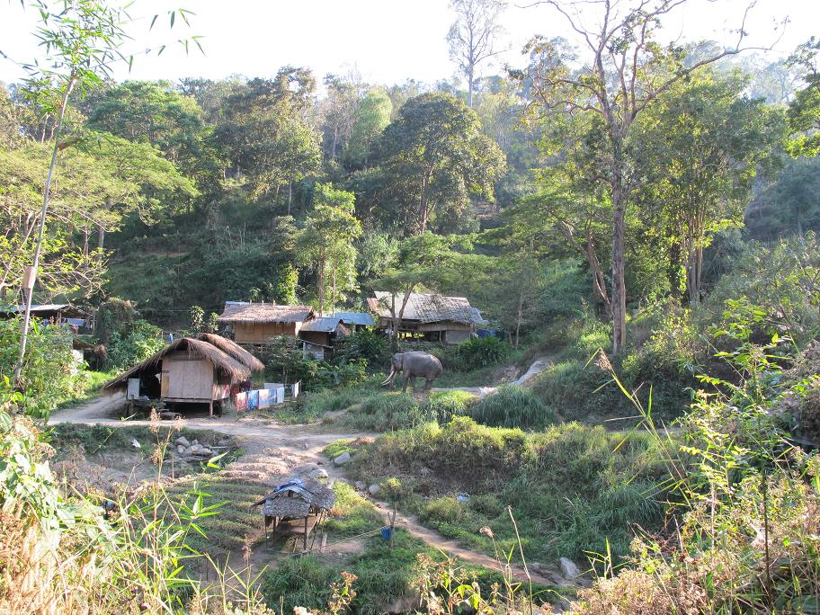 Baan Tawai & Samoeng - талантливый север Baan Tawai & Samoeng - талантливый север