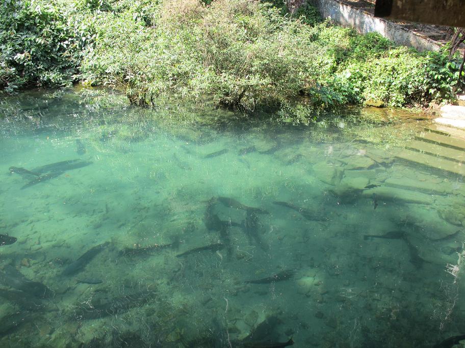 коренные беженцы Chiang Dao