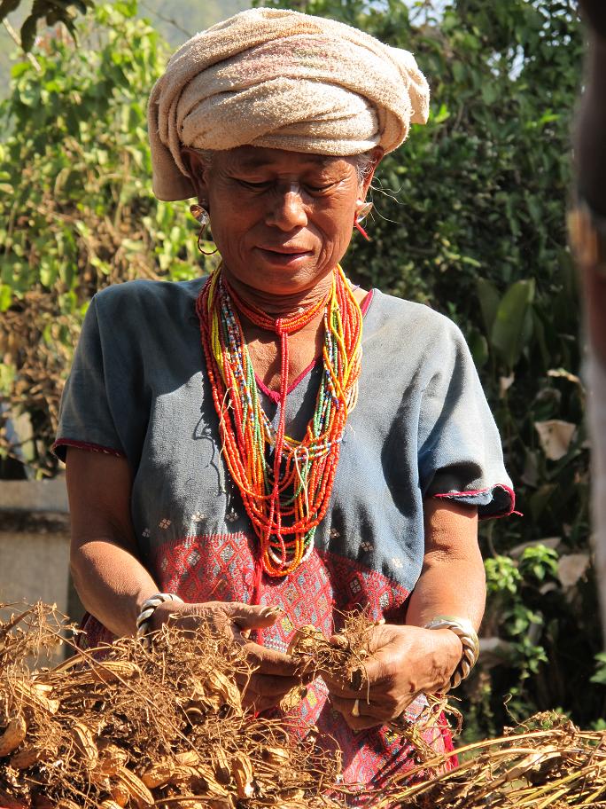 коренные беженцы Chiang Dao