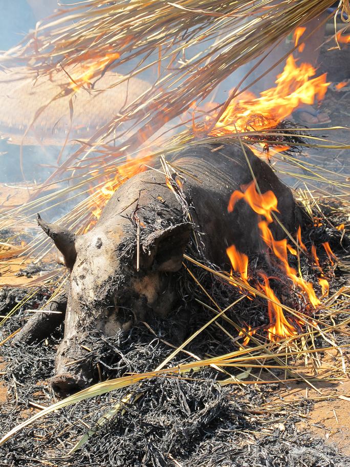коренные беженцы Chiang Dao