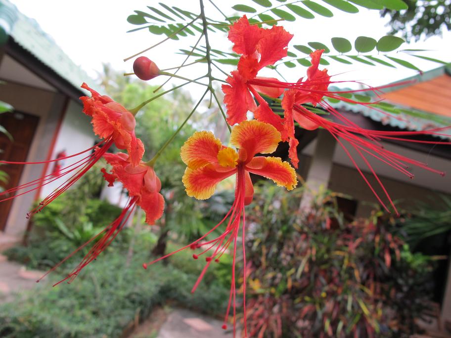 Ko Lanta - туристический юг