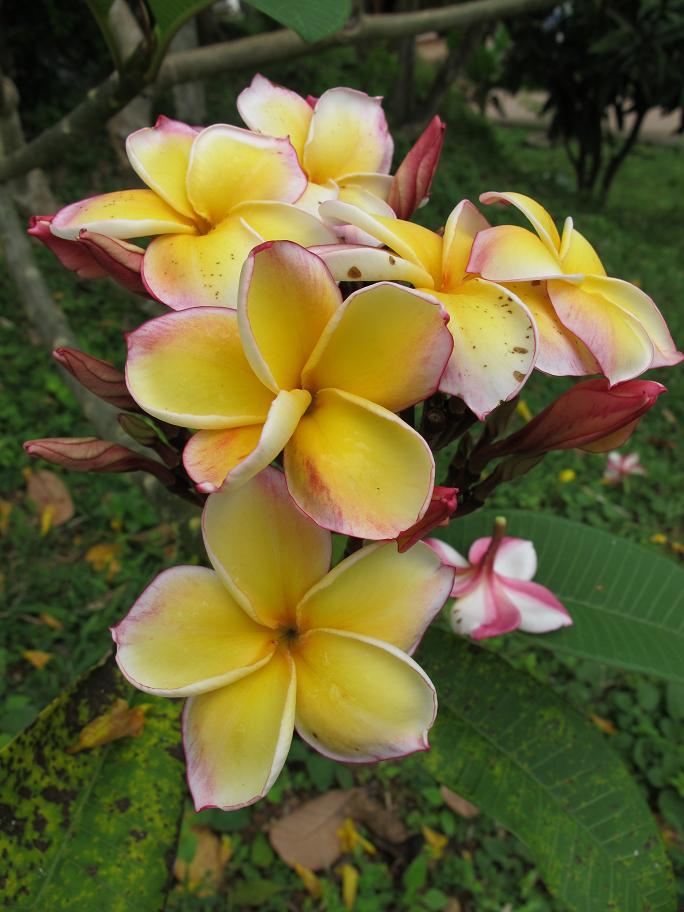 Ko Lanta - туристический юг