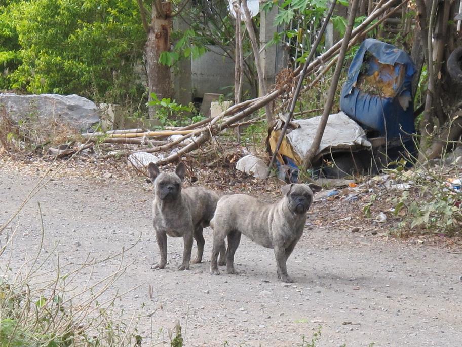 Kanchanaburi. оба берега реки Квай