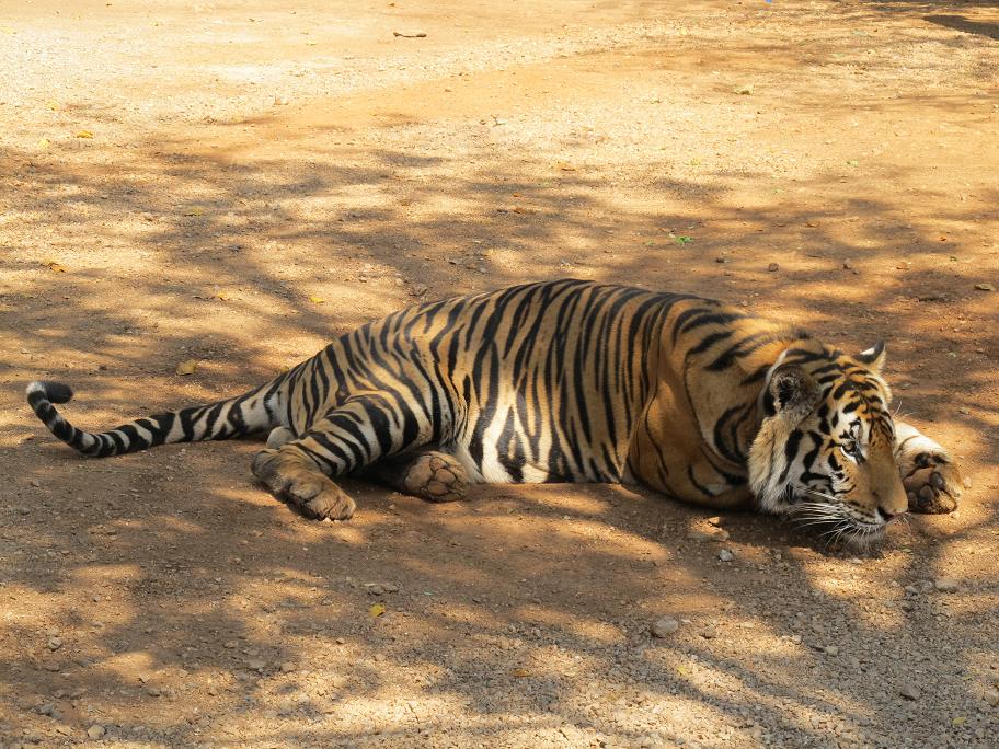 Kanchanaburi. оба берега реки Квай