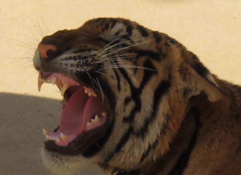 Kanchanaburi. оба берега реки Квай