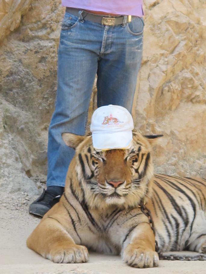 Kanchanaburi. оба берега реки Квай