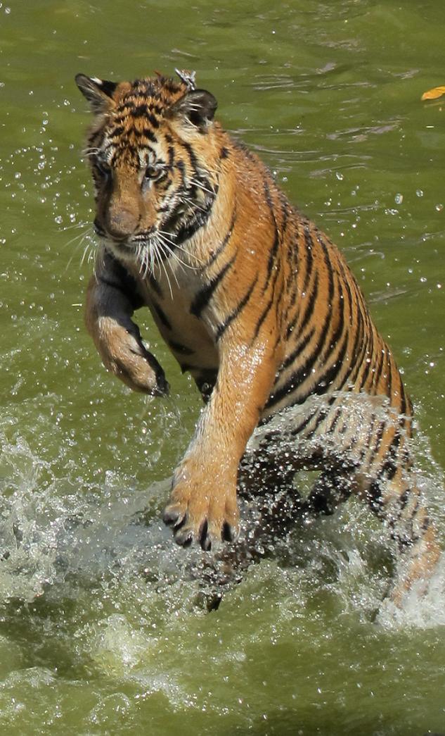 Kanchanaburi. оба берега реки Квай