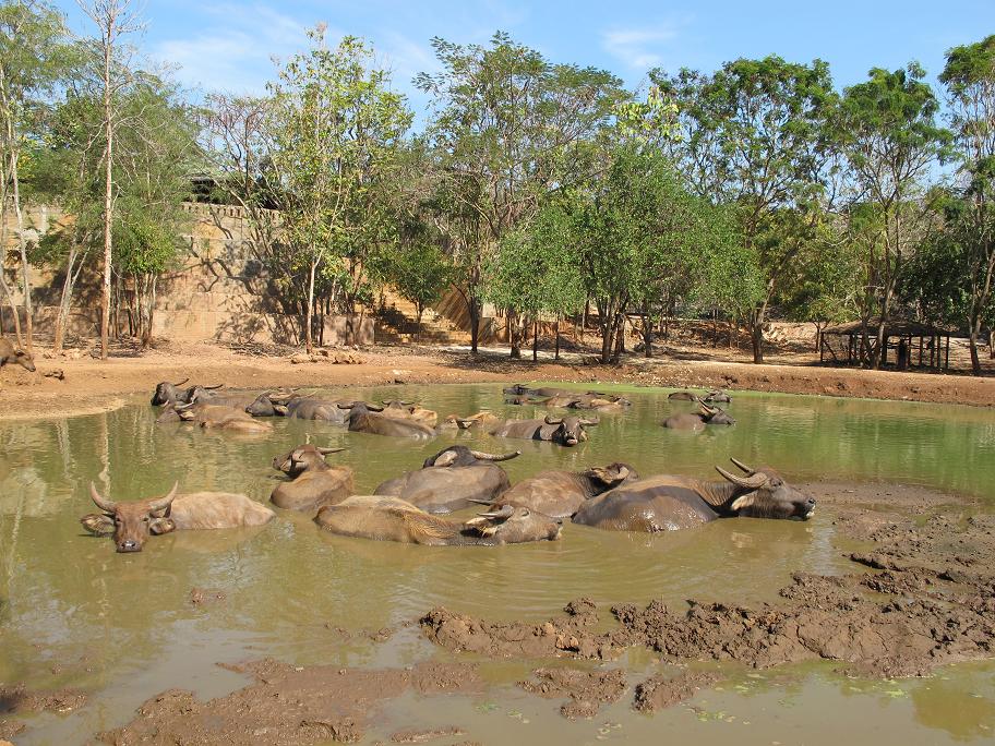 Kanchanaburi. оба берега реки Квай