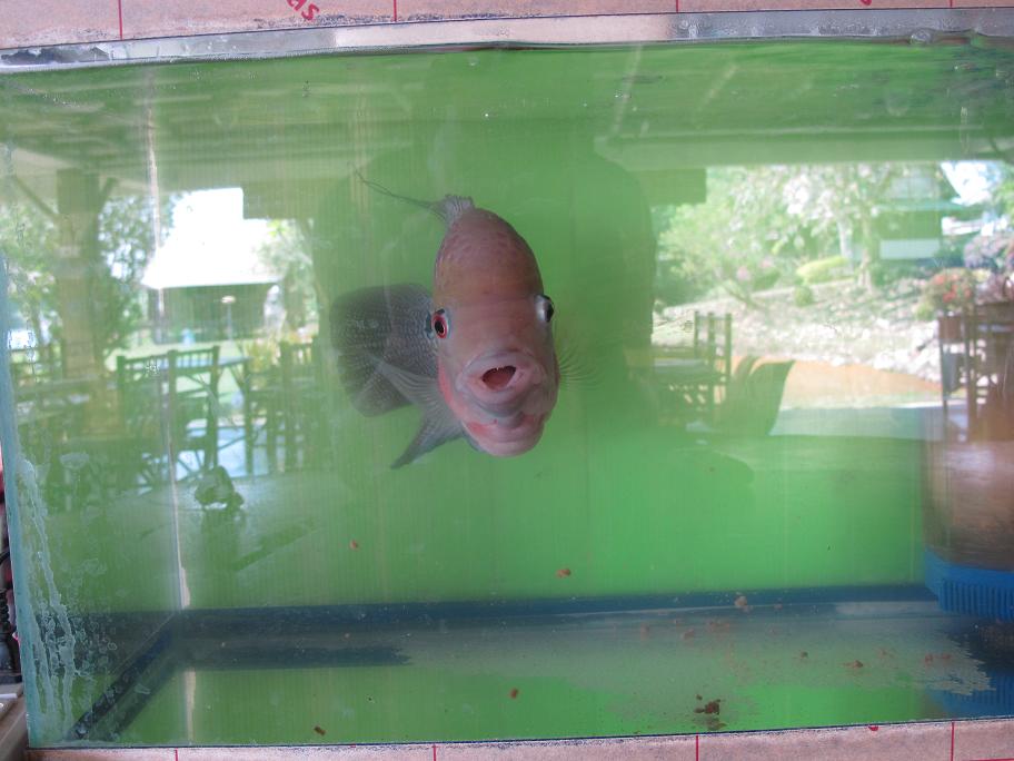 Kanchanaburi. оба берега реки Квай