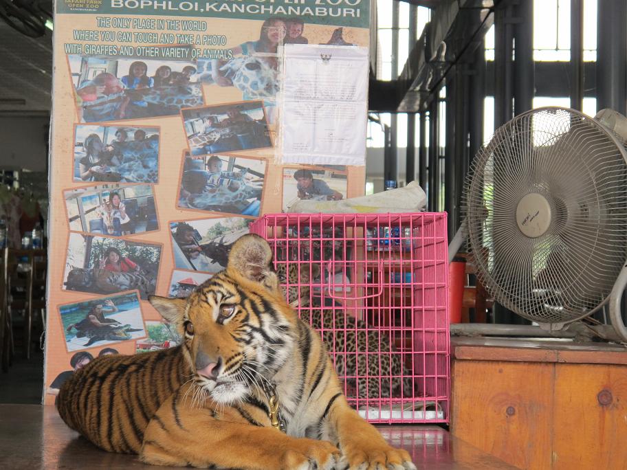 Kanchanaburi. оба берега реки Квай