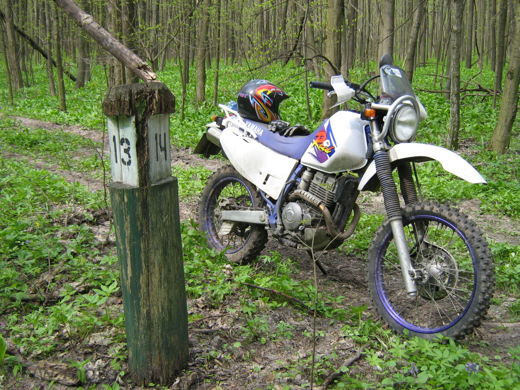 Yamaha ttr 250 open enduro и raid отличия